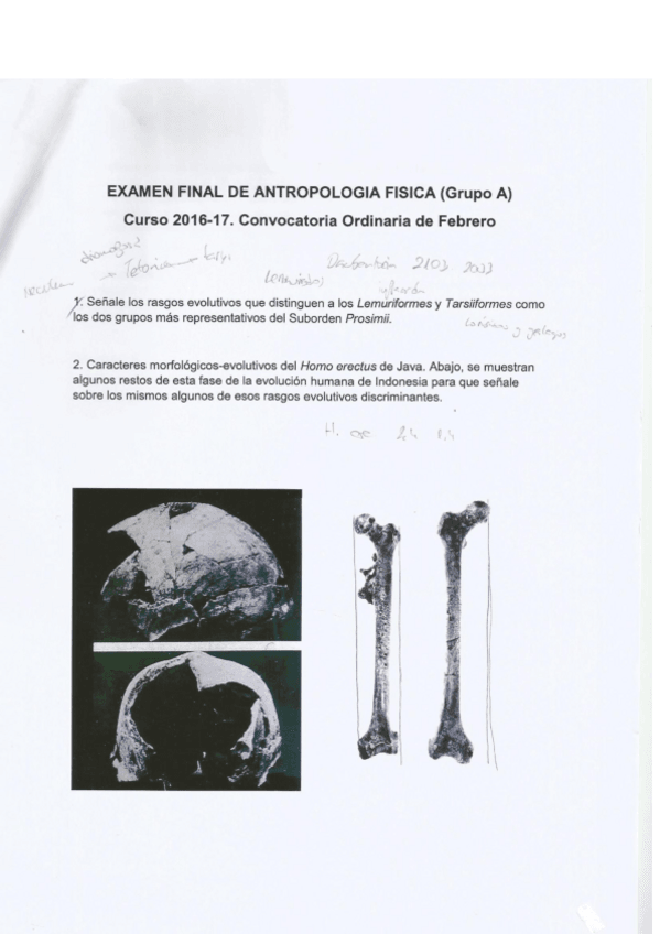 Miniatura del documento examen rosario.pdf