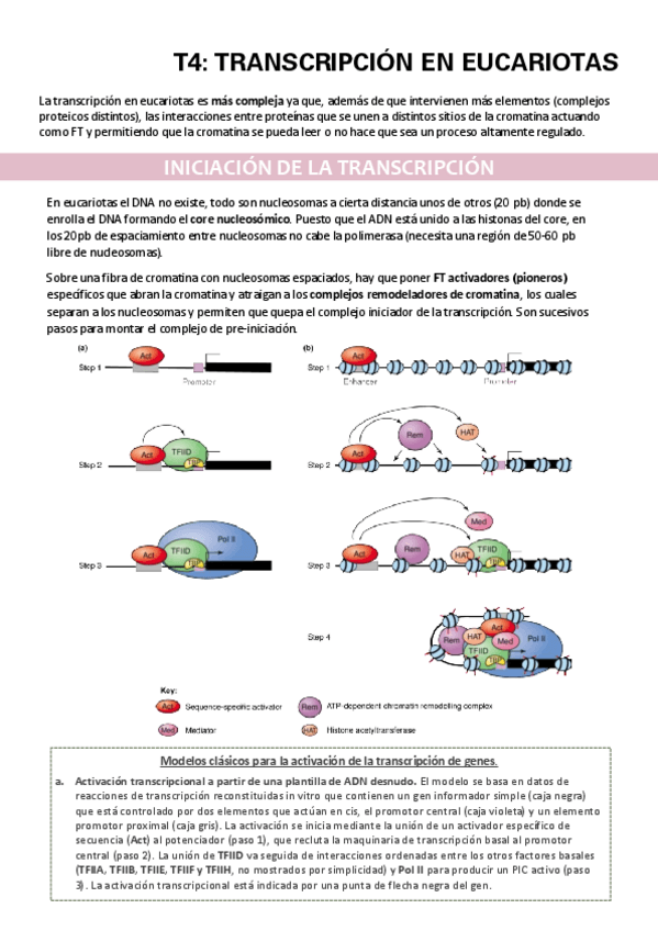 Miniatura del documento TEMA-4.pdf