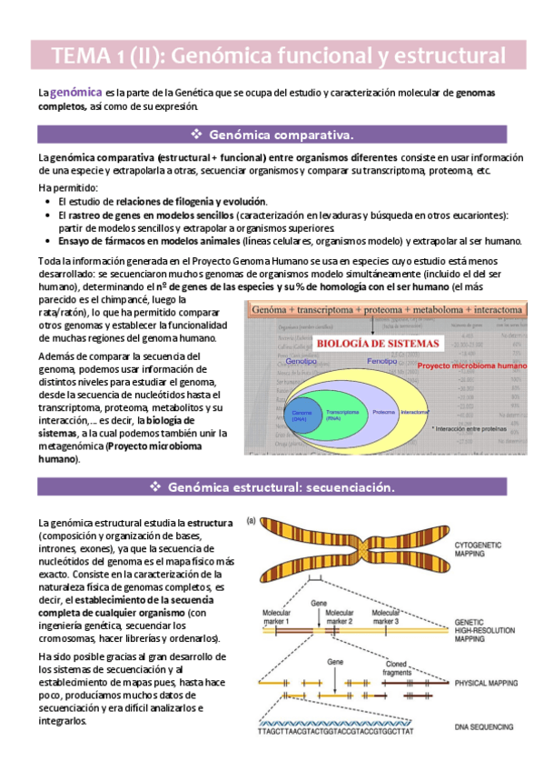 Miniatura del documento TEMA-1-II.pdf