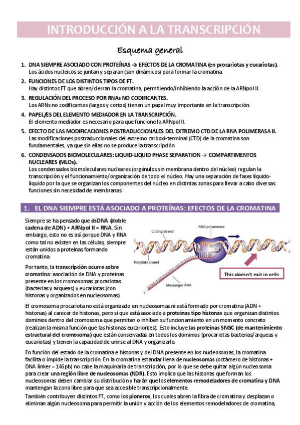 Miniatura del documento TEMA-6.pdf