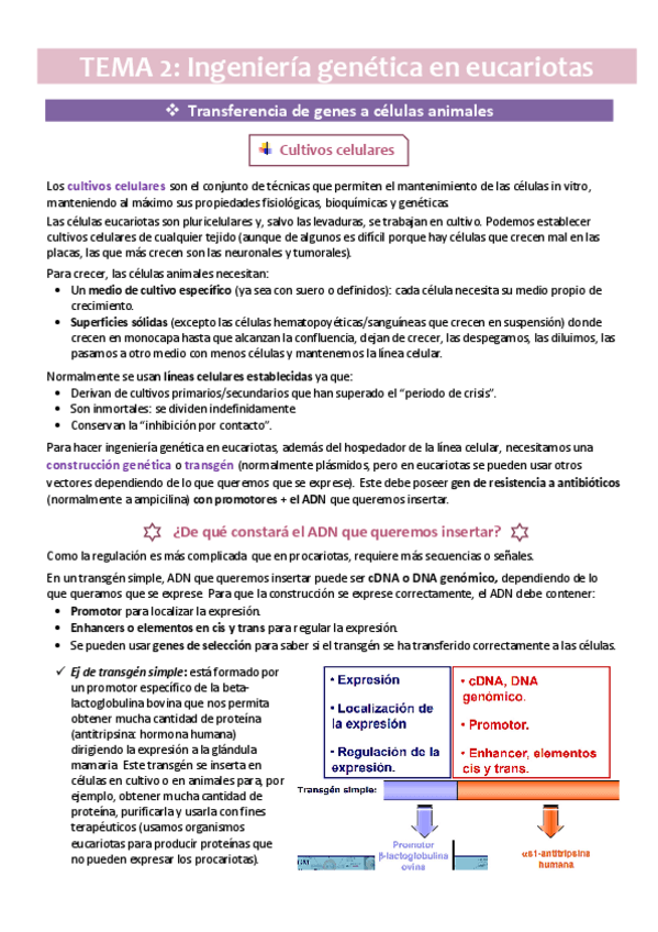 Miniatura del documento TEMA-2.pdf