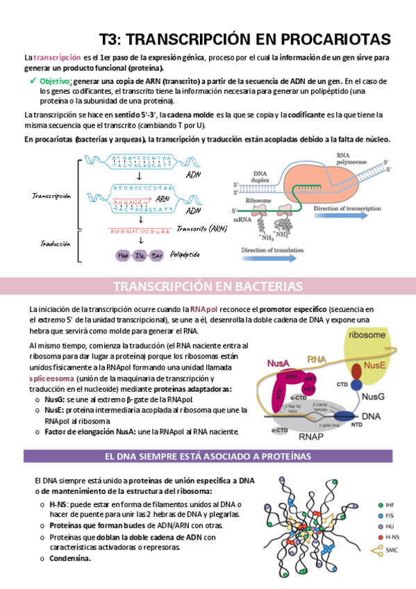Miniatura del documento TEMA-3.pdf