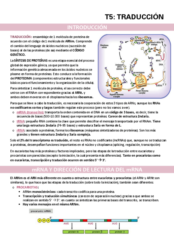 Miniatura del documento TEMA-5.pdf