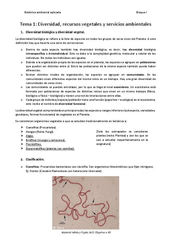 Miniatura del documento Tema-1.pdf