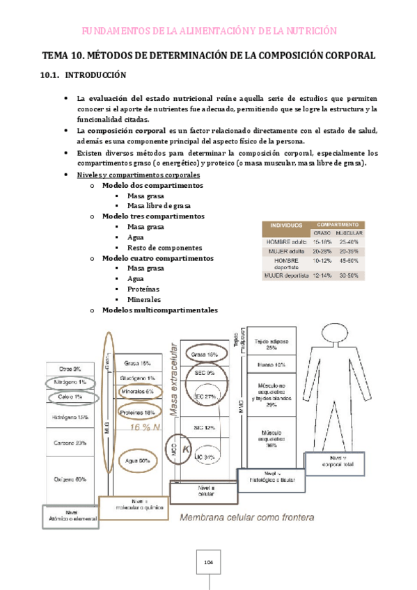 Miniatura del documento Tema-10.pdf