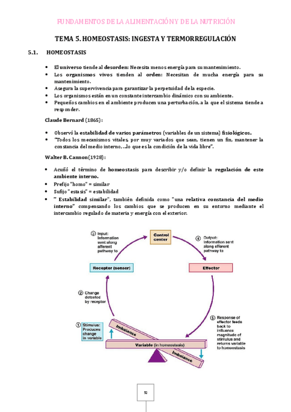 Miniatura del documento Tema-5.pdf