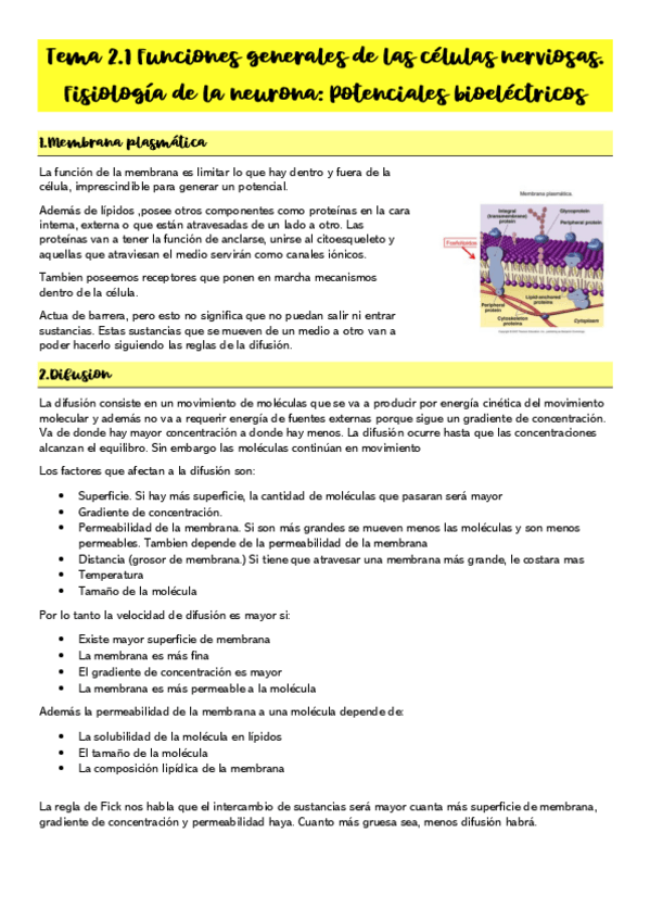 Miniatura del documento Tema-2.pdf