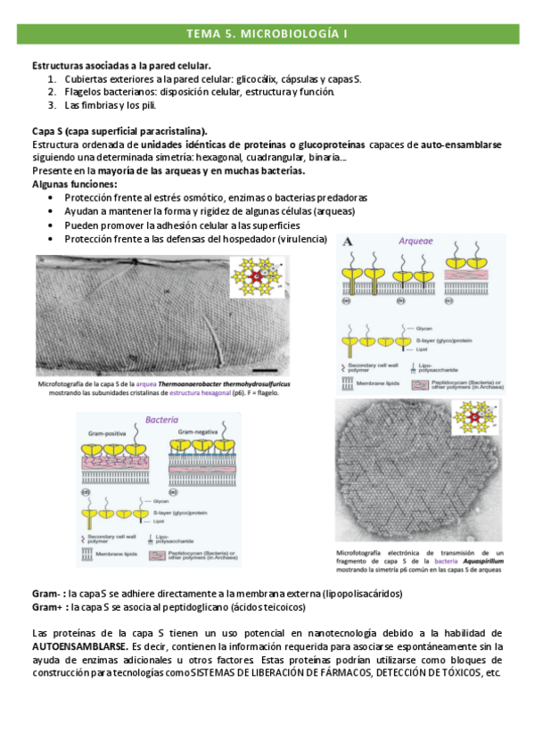 Miniatura del documento Tema-5.pdf