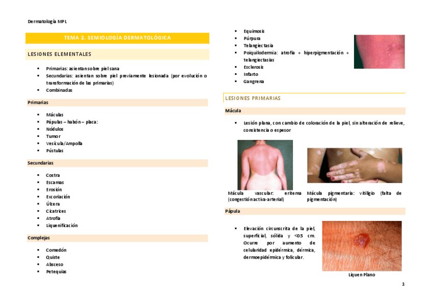 Miniatura del documento Tema-2.pdf