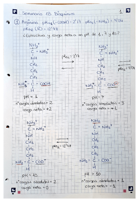 Miniatura del documento Solucion-Seminario.pdf