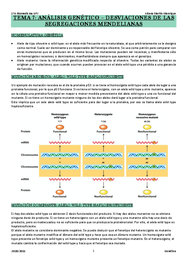 Miniatura del documento Tema-7-desviaciones-segregaciones-mendel.pdf