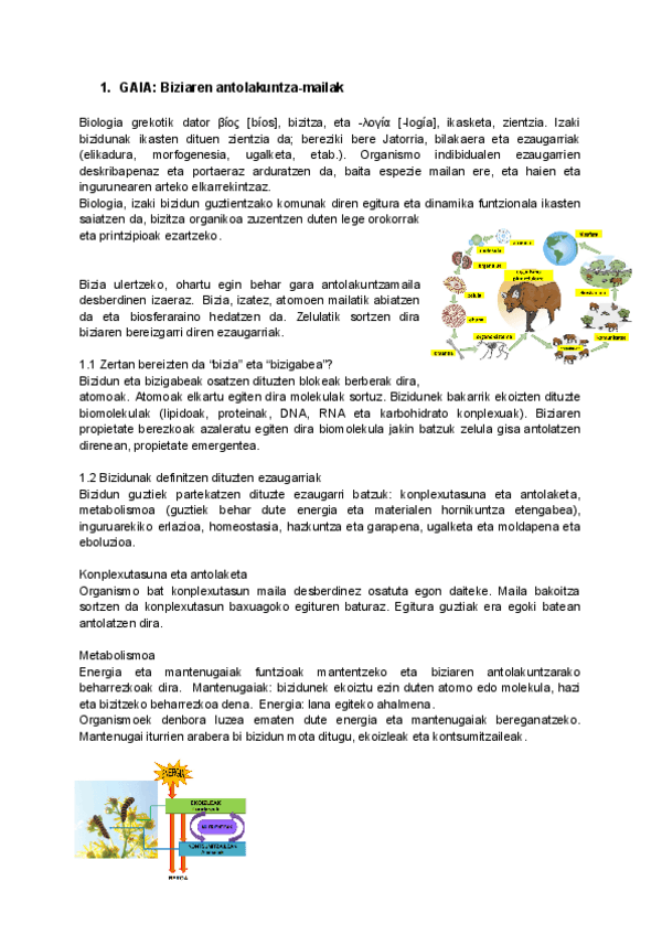 Miniatura del documento 1.pdf