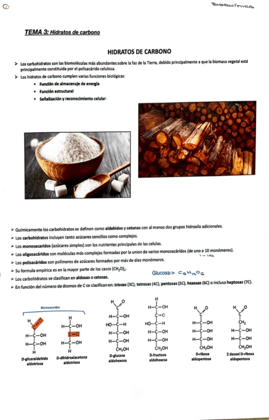 Miniatura del documento tema-3-bioquimica-hidratos-de-carbono.pdf