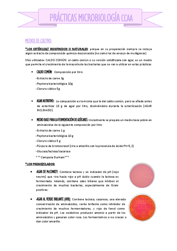 Miniatura del documento Practicas-micro.pdf