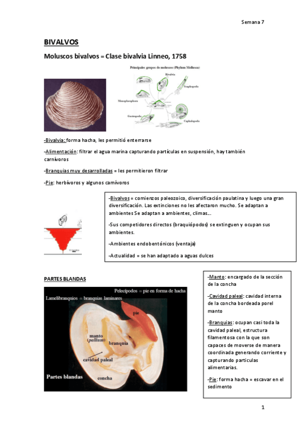 Miniatura del documento Paleo-7-1.pdf