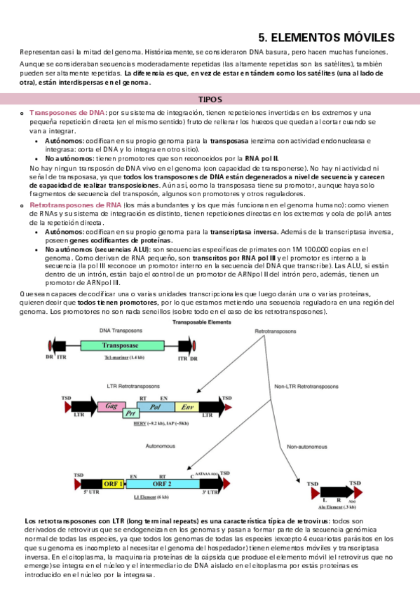 Miniatura del documento TEMA-5-I.pdf