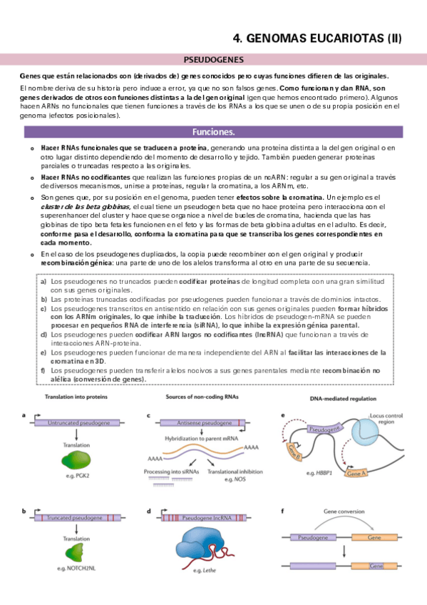 Miniatura del documento TEMA-4-II.pdf