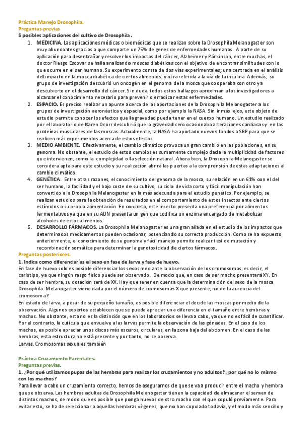 Miniatura del documento PREGUNTAS-PRACTICAS.pdf