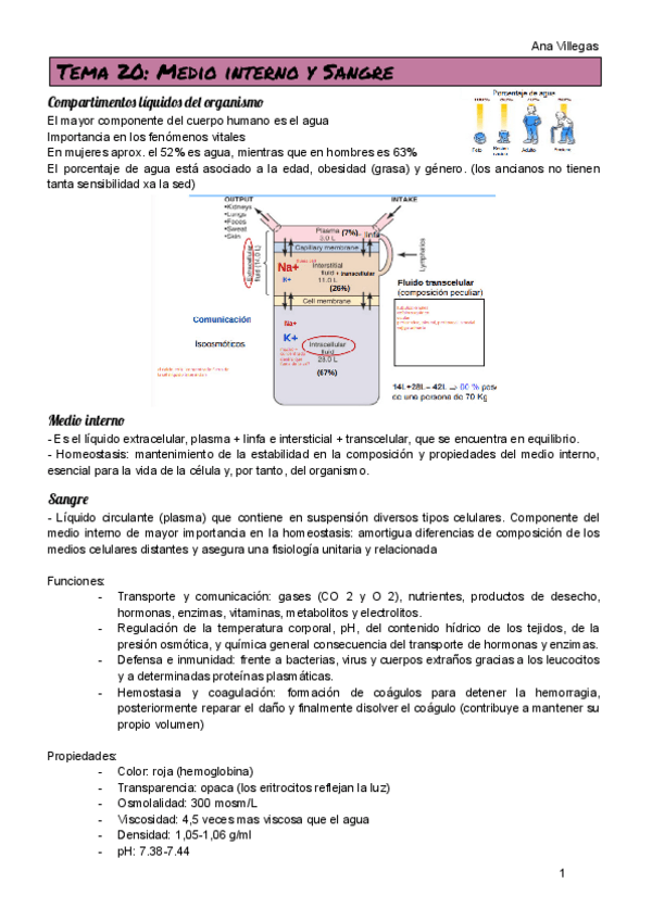 Miniatura del documento TEMA-20.pdf