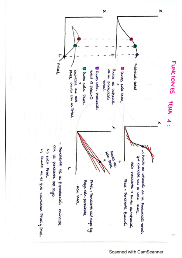 Miniatura del documento Graficas-Temas-1-6-Micro.pdf