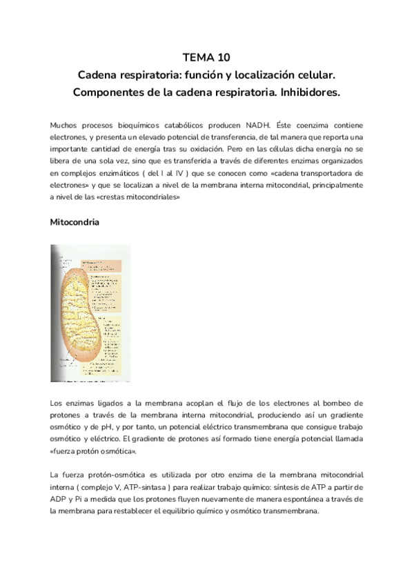 Miniatura del documento TEMA-10.pdf