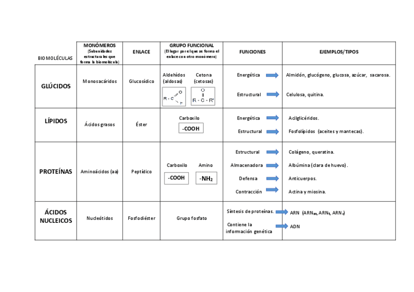 Miniatura del documento Tabla biomoléculas.pdf