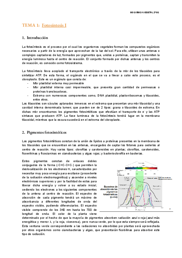 Miniatura del documento TEMA-1-Vegetal.pdf