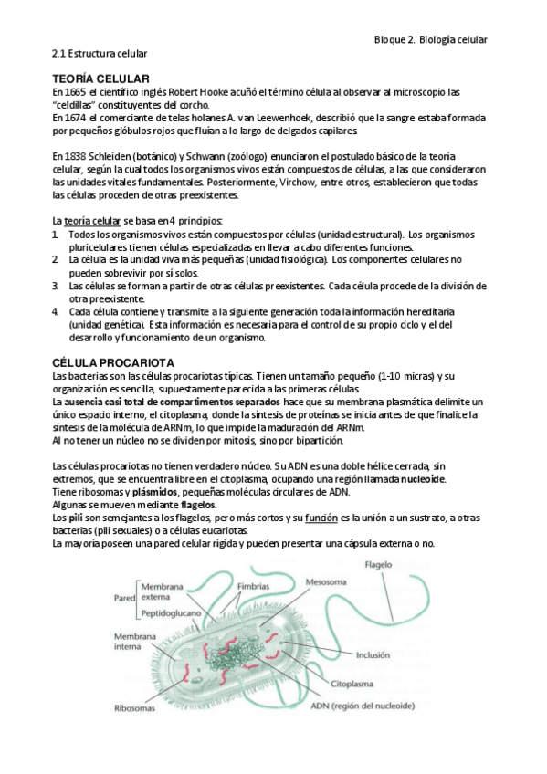 Miniatura del documento 2.1 Estructura celular