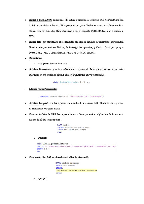 Miniatura del documento SAS-parte-1.pdf