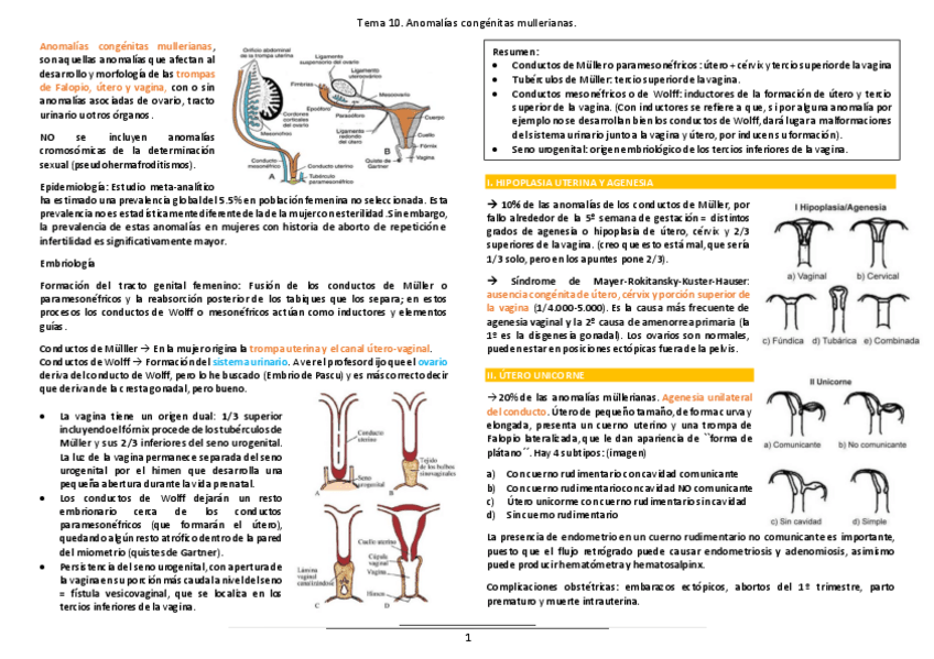 Miniatura del documento Tema-10.pdf