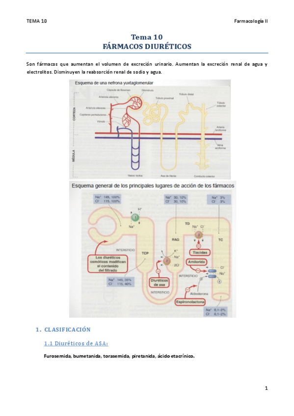 Miniatura del documento TEMA 10.pdf