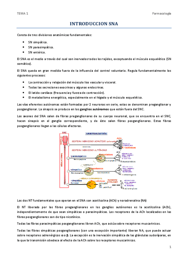 Miniatura del documento TEMA 1.pdf