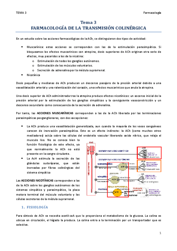 Miniatura del documento TEMA 3.pdf