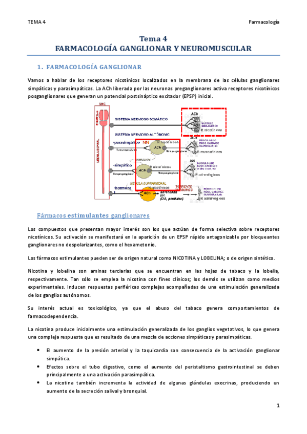 Miniatura del documento TEMA 4.pdf