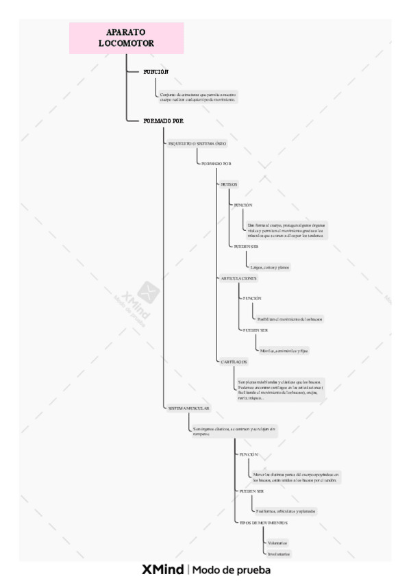 Miniatura del documento APARATO-LOCOMOTOR.pdf