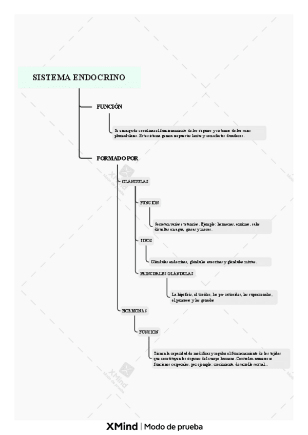 Miniatura del documento SISTEMA-ENDOCRINO.pdf