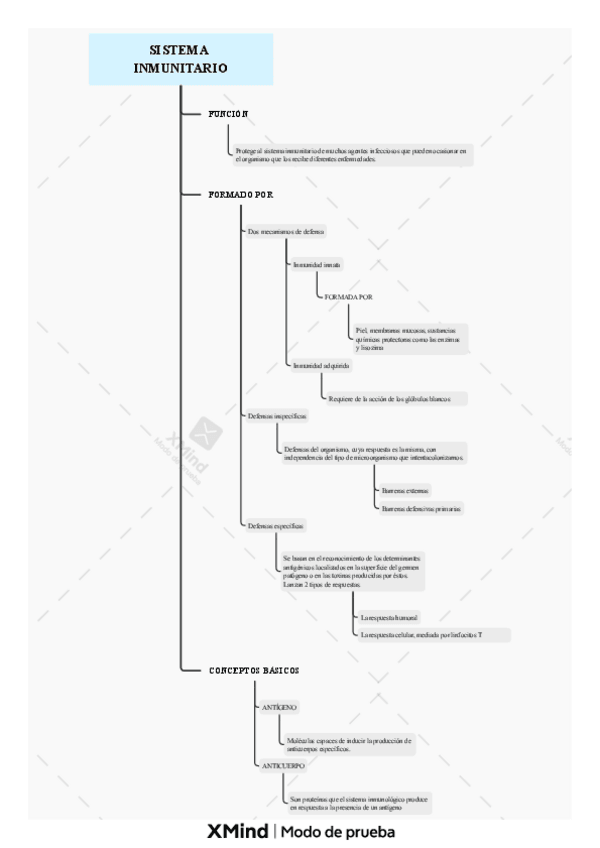 Miniatura del documento SISTEMA-INMUNITARIO.pdf