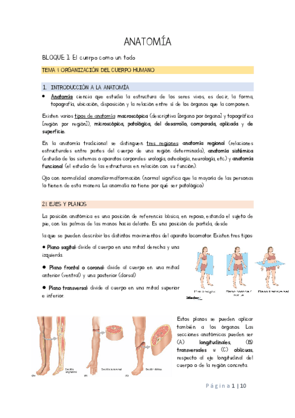 Miniatura del documento TEMA 1 Y 2