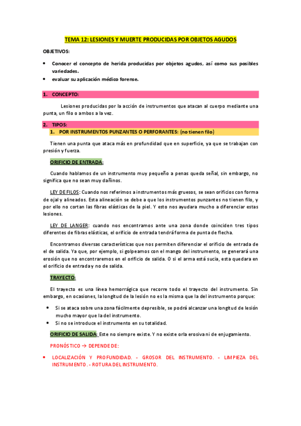 Miniatura del documento TEMA-12-OBJETOS-AGUDOS.pdf