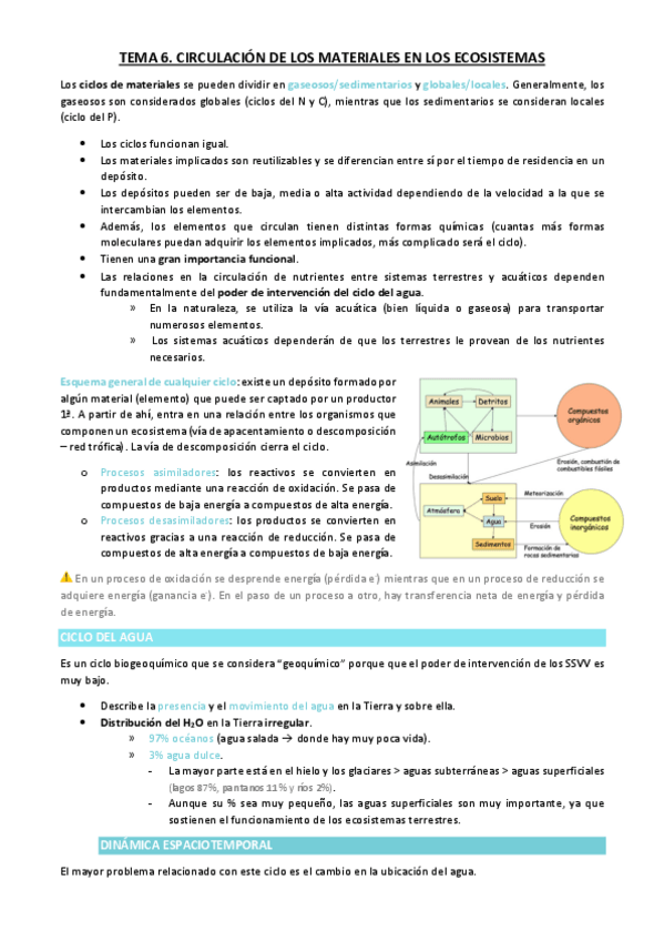Miniatura del documento TEMA-6.pdf