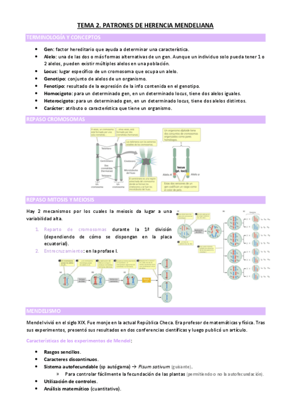 Miniatura del documento TEMA-2.pdf