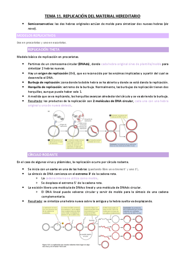Miniatura del documento TEMA-11.pdf