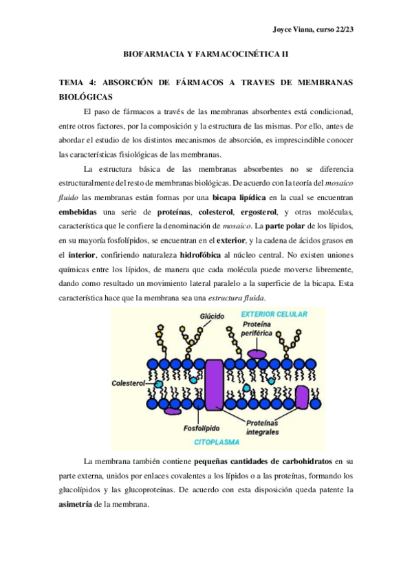 Miniatura del documento TEMA4.pdf