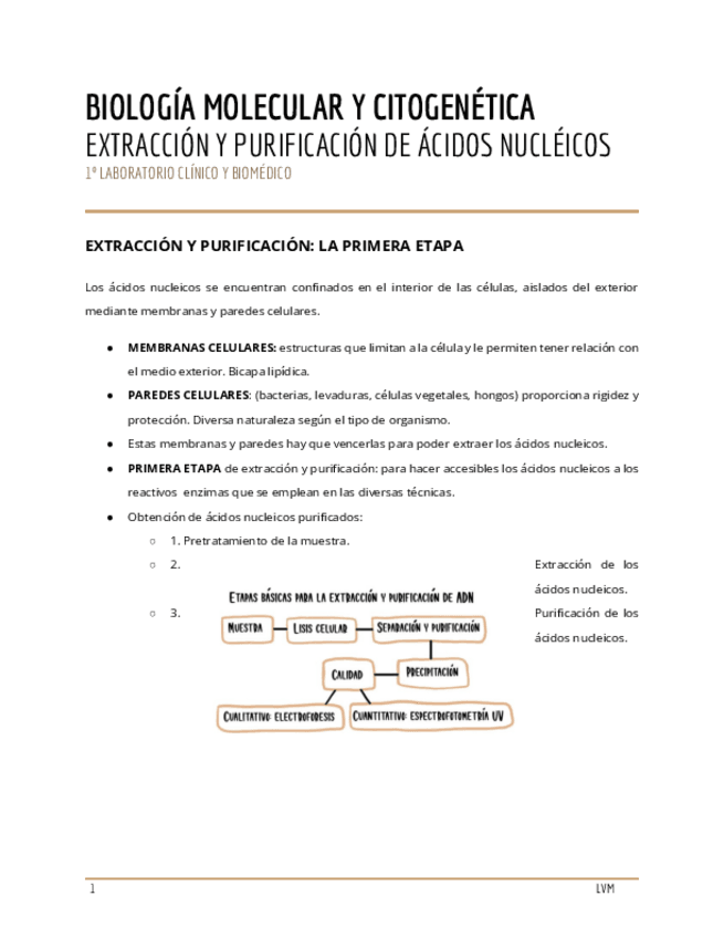 Miniatura del documento EXTRACCION-Y-PURIFICACION-DE-ACIDOS-NUCLEICOS-.pdf