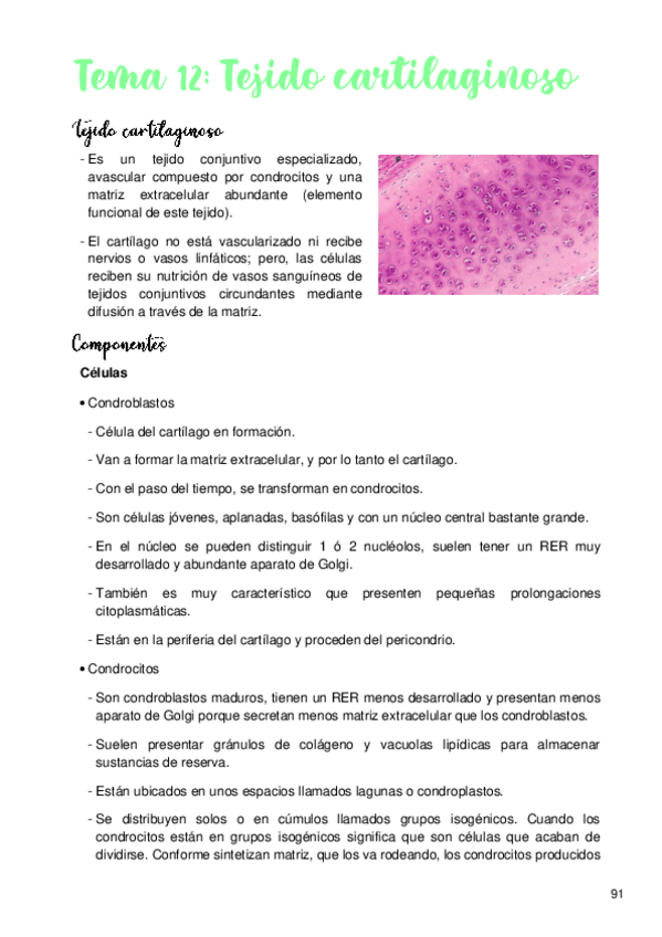 Miniatura del documento Tema-12-Tejido-cartilaginoso.pdf