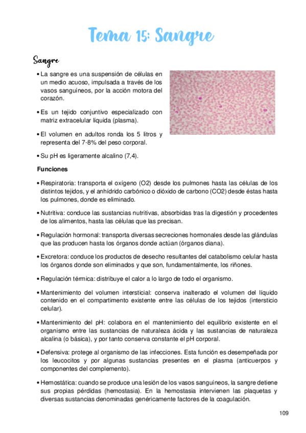 Miniatura del documento Tema-15-Sangre.pdf