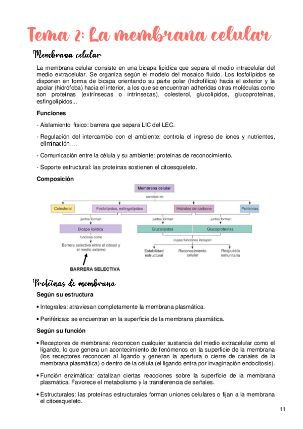 Miniatura del documento Tema-2.pdf