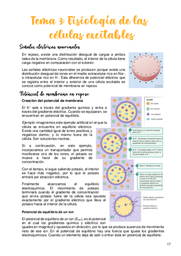 Miniatura del documento Tema-3.pdf