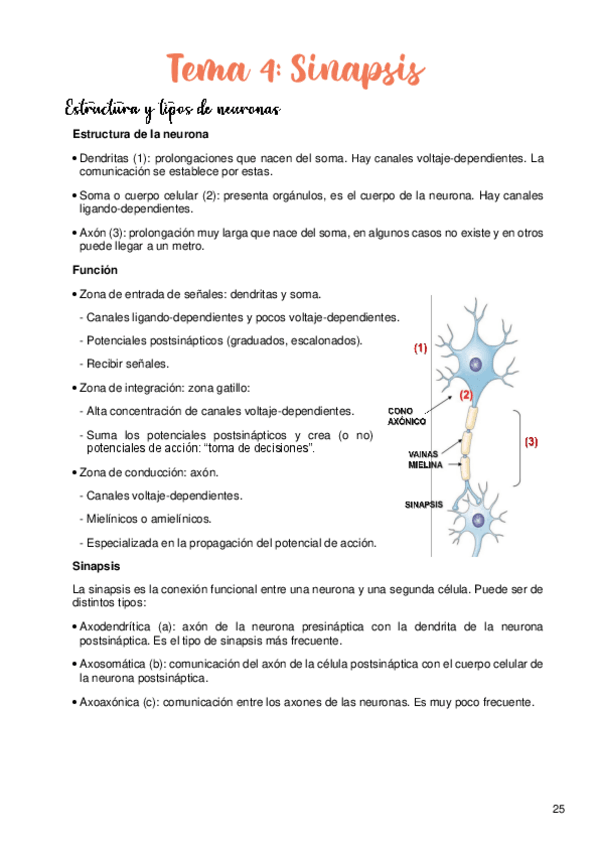 Miniatura del documento Tema-4.pdf