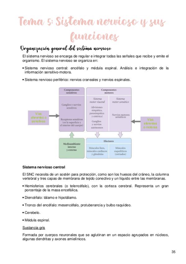 Miniatura del documento Tema-5.pdf